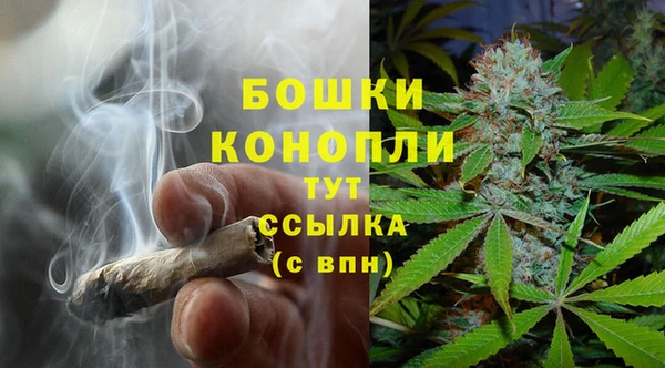 первитин Гусиноозёрск