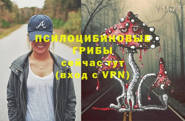 первитин Гусиноозёрск