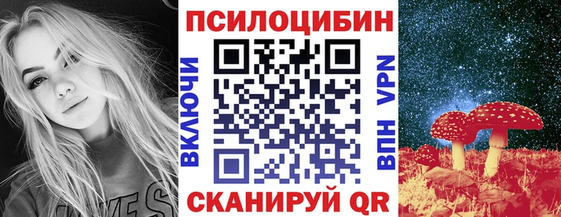 ОМГ ОМГ сайт  Орск  Псилоцибиновые грибы Psilocybe  что такое  