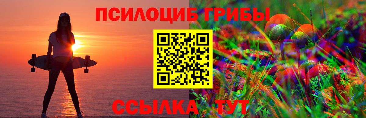 Псилоцибиновые грибы Psilocybe Орск