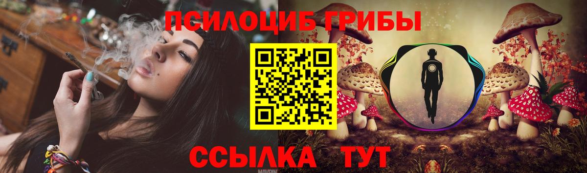 Галлюциногенные грибы MAGIC MUSHROOMS  Галлюциногенные грибы Cubensis  Орск  Вход с VPN 