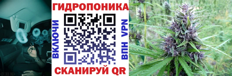 Каннабис OG Kush  OMG   Орск 